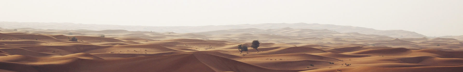 ΨŵӿƼ޹˾